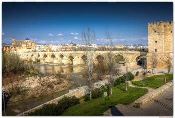 Apartamento Los Padrinos, Córdoba (photo 5)