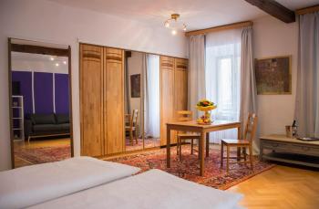 One-room Elfi, Зальцбург (фото 4)