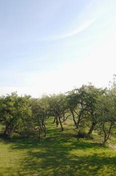 GartenGlück, Nordleda (photo 3)