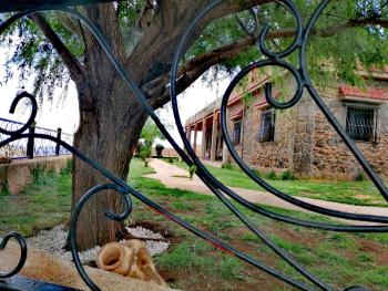 Tamanoucht, Ifrane (fotografie 4)