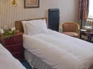 Hampstead Britannia, Londra (foto 4)