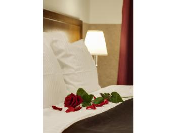 Hotel Yarden by Artery Hotels, Cracovia (foto 4)