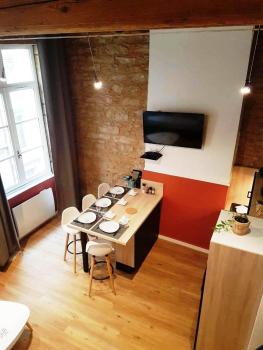 Cosy appartement, dans les pentes de la Croix Rousse, Лион (фото 3)