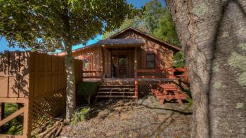 A Beary Nice View- Pet Friendly | Screened Porch | My Mountain | No steps to enter, Morganton (fotografie 5)