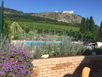 cottage with private swimming pool, Pavlov (photo 2)