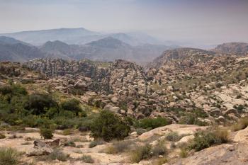 Rummana Campsite, Дана (фото 2)