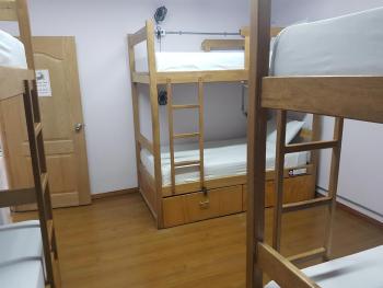 Purple Monkey Hostel, Medellín (foto 5)
