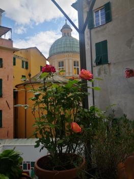 Lavagna Uno, Genua (zdjęcie 3)