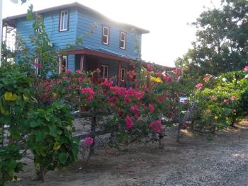 Sugar Patch Inn, Hopkins (fotografie 3)
