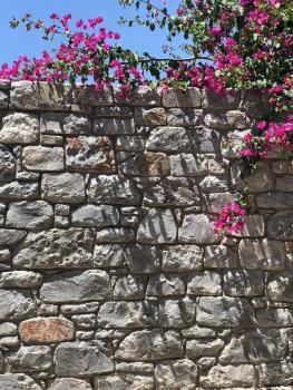 Gaia (Γαία) guest house, Kalamata (fotografie 5)