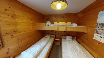 Arnika, Blatten bei Naters (foto 3)