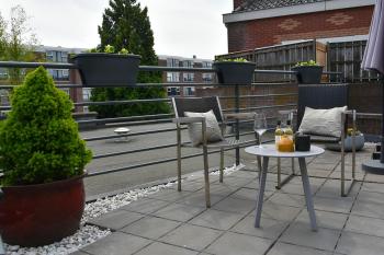 Zzzuite25, Oosterhout (zdjęcie 4)