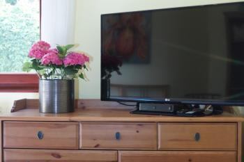Ria's Apartment, Budapest (photo 3)