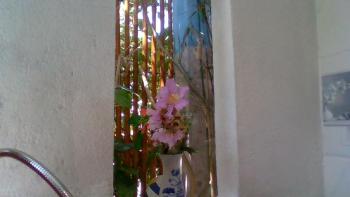 Seamist Ocean Villa, Hội An (Foto 3)