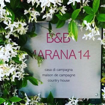 B&B Marana 14 Casa di Campagna, Bologna (Foto 4)