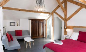Wonderlandscape Guest House, Ginevra (foto 3)