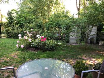 Cozy Cottage, Utrecht (photo 5)
