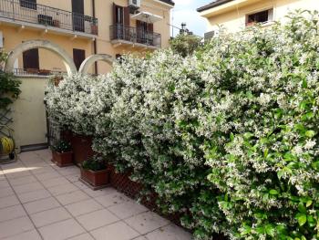 Home Scalzi 18, Verona (foto 5)