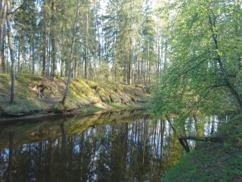 Līčupes, (( Strēli )) (fotografie 4)