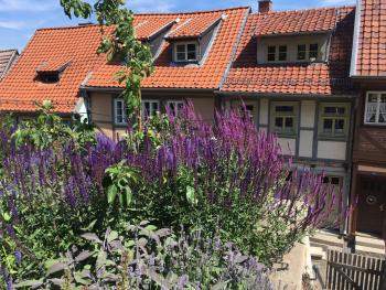 Idyll 23, Quedlinburg (zdjęcie 4)