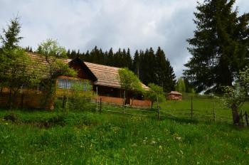 Приватна садиба ''Світлиця гуцульщини, Vorokhta (foto 4)