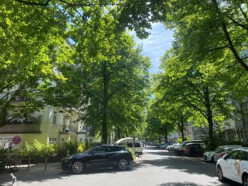 Winterhude, Hamburk (fotografie 2)