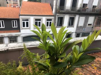 Alojamento Requinte, Porto (fotografie 3)