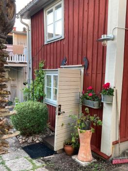 Pinglans bakficka, Gränna (fotografie 3)