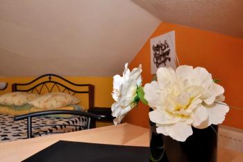 Happy Hostel, Rīga (photo 5)