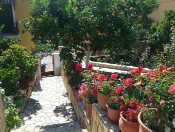 Voula, Gaios (Passo) (foto 3)