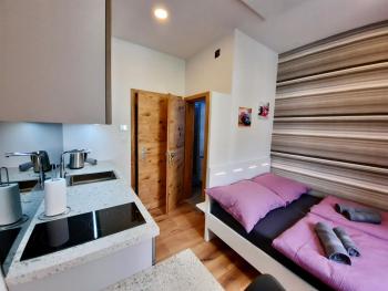 Apartment Silver, Lublaň (fotografie 3)