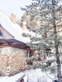 Apartament Jaworzyna, Zakopane (fotografie 3)