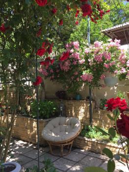 House 41, Tiflis (foto 5)