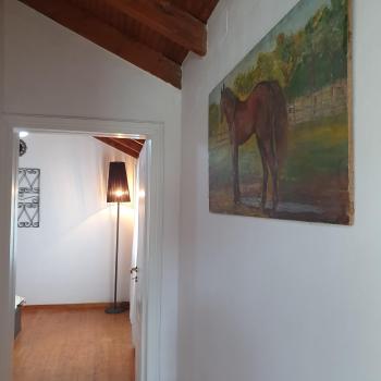Σγουρής (Sgouris), Lefkimmi (zdjęcie 5)