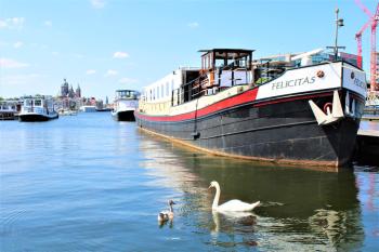 Felicitas, Amsterdam (photo 2)