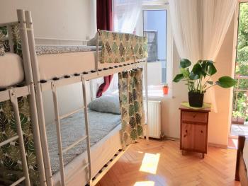Green House, Cracovia (foto 3)