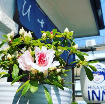 HISAYO'S INN, Tokio (foto 4)