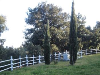 Ca'Cecia, Monteverdi Marittimo (foto 3)