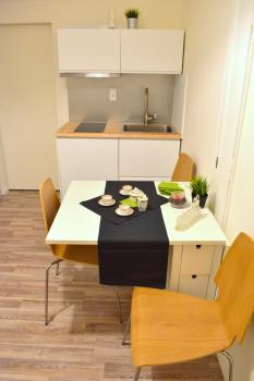 Designer holiday home Vinohrady!, Praha (fotografie 2)
