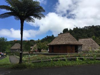 Casa do Til, Santana (fotografie 4)