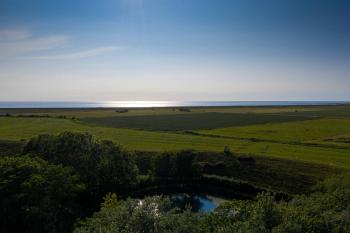 Seepferdchen, Westerdeichstrich (fotografie 3)