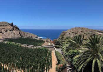 Finca La Punta, Icod de los Vinos (foto 3)