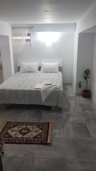 Casa Andrei Techirghiol, Techirghiol (foto 2)