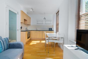Modern 1 Bed Flat in Holborn, London for up to 2 people with free wifi, Londýn (fotografie 4)