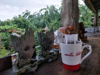 Teak villa, Thoeng (fotografie 3)