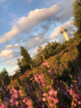 Pistenblick, Willingen (foto 3)