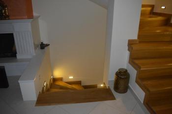 Chara host, Olympia (photo 4)