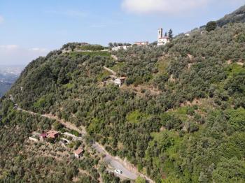 Casa Berti - Urlaub im Olivenhain, Camaiore (Foto 2)