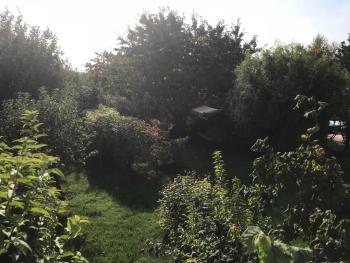 Fewo in sonniger Lage in Sagard, Sagard (foto 5)