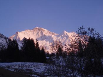 Chalet Viola - Verena's Loft, Wengen (Foto 5)